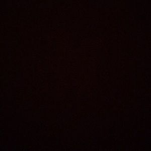 Meet your Posher, Evelyn